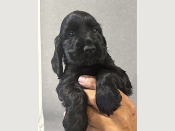 Image 1 of 20