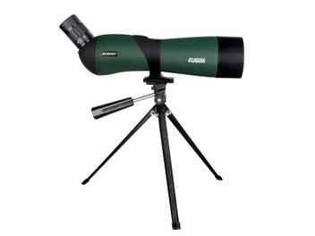 Image 1 of 10