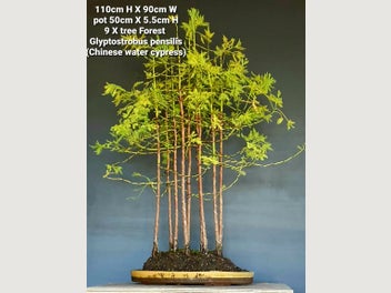 Image 1 of 10