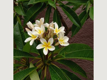 Image 1 of 9