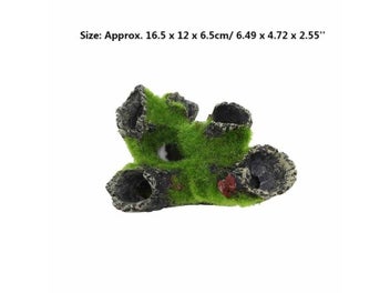 Image 1 of 10