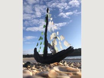 Image 1 of 20
