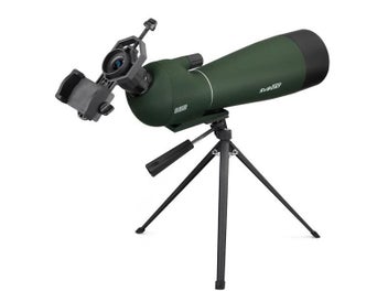 Image 1 of 10