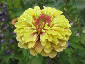 Image 1 of 12
