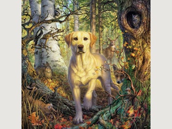 Image 1 of 2