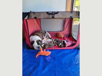 Image 1 of 8