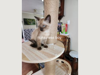 Image 1 of 11