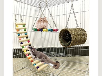 Image 1 of 6