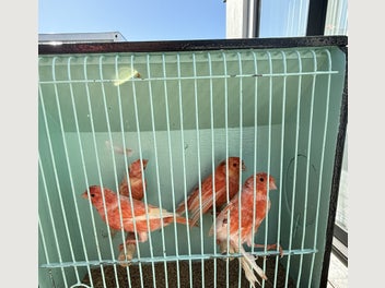 Image 1 of 9