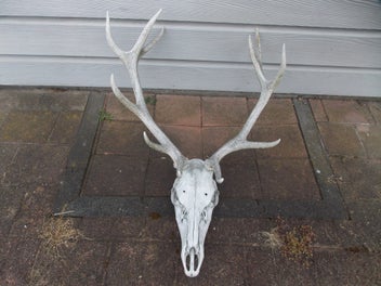 Image 1 of 5