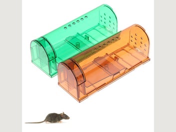 Image 1 of 6