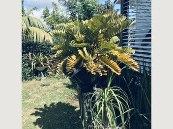 Image 1 of 10