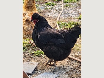 Image 1 of 19