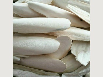 Image 1 of 9