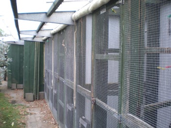 Image 1 of 11