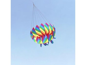 Image 1 of 10
