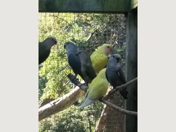 Image 1 of 6