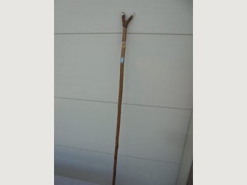Image 1 of 9