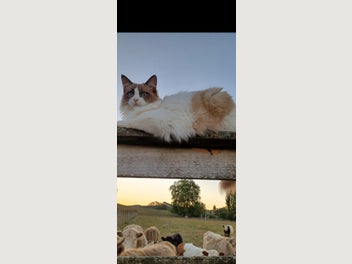 Image 1 of 10
