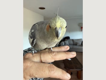 Image 1 of 5