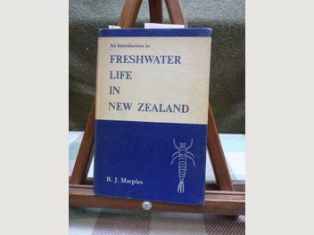 Image 1 of 7