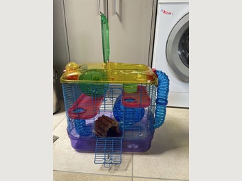 Image 1 of 3