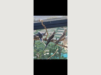 Image 1 of 15