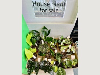 Image 1 of 20