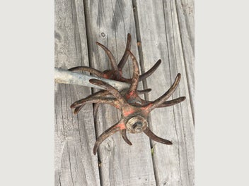 Image 1 of 6