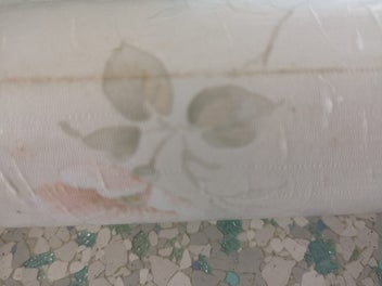 Image 1 of 12