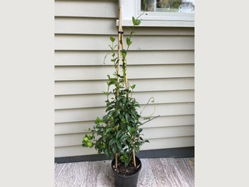 Image 1 of 8