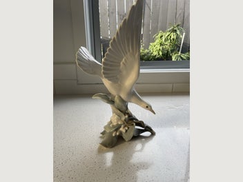 Image 1 of 8