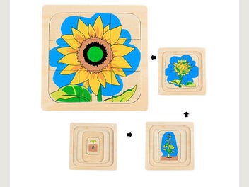 Image 1 of 8