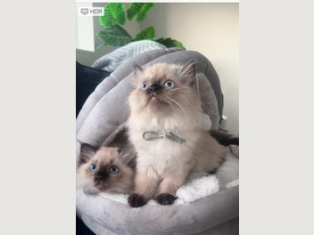 Image 1 of 14