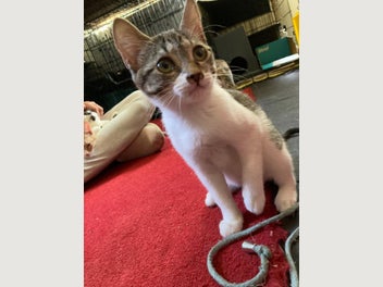 Image 1 of 10
