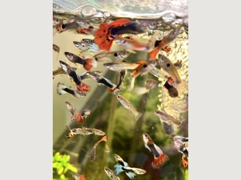 Image 1 of 1