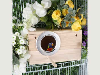 Image 1 of 12