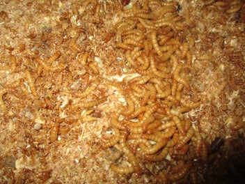 Image 1 of 3