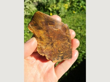 Image 1 of 7