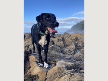 Image 1 of 8