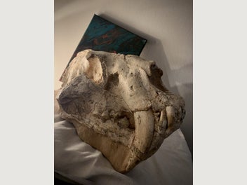 Image 1 of 12