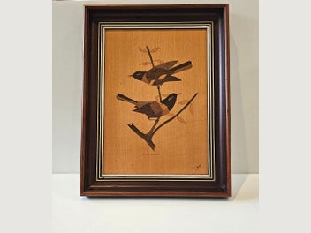 Image 1 of 9