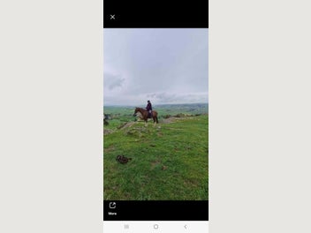 Image 1 of 20
