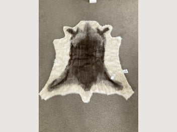 Image 1 of 12