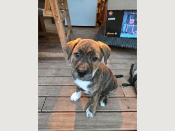 Image 1 of 4