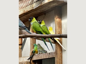Image 1 of 4