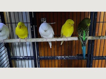 Image 1 of 6