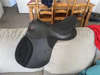 Image 1 of 8