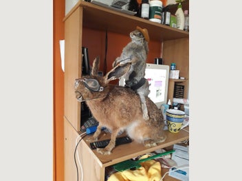 Image 1 of 4