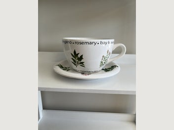 Image 1 of 8
